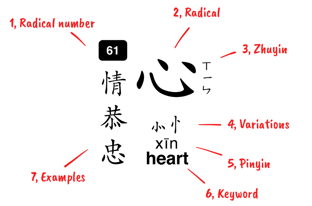 Image showing the elements of a Chines radical included on the poster such as pronunciation, examples, and variations
